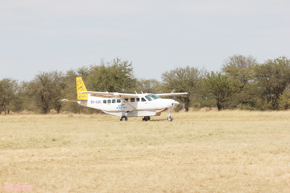 [坦尚尼亞] Tanzania 國內班機 Air Excel – Northern Serengeti (Lamai) to Arusha